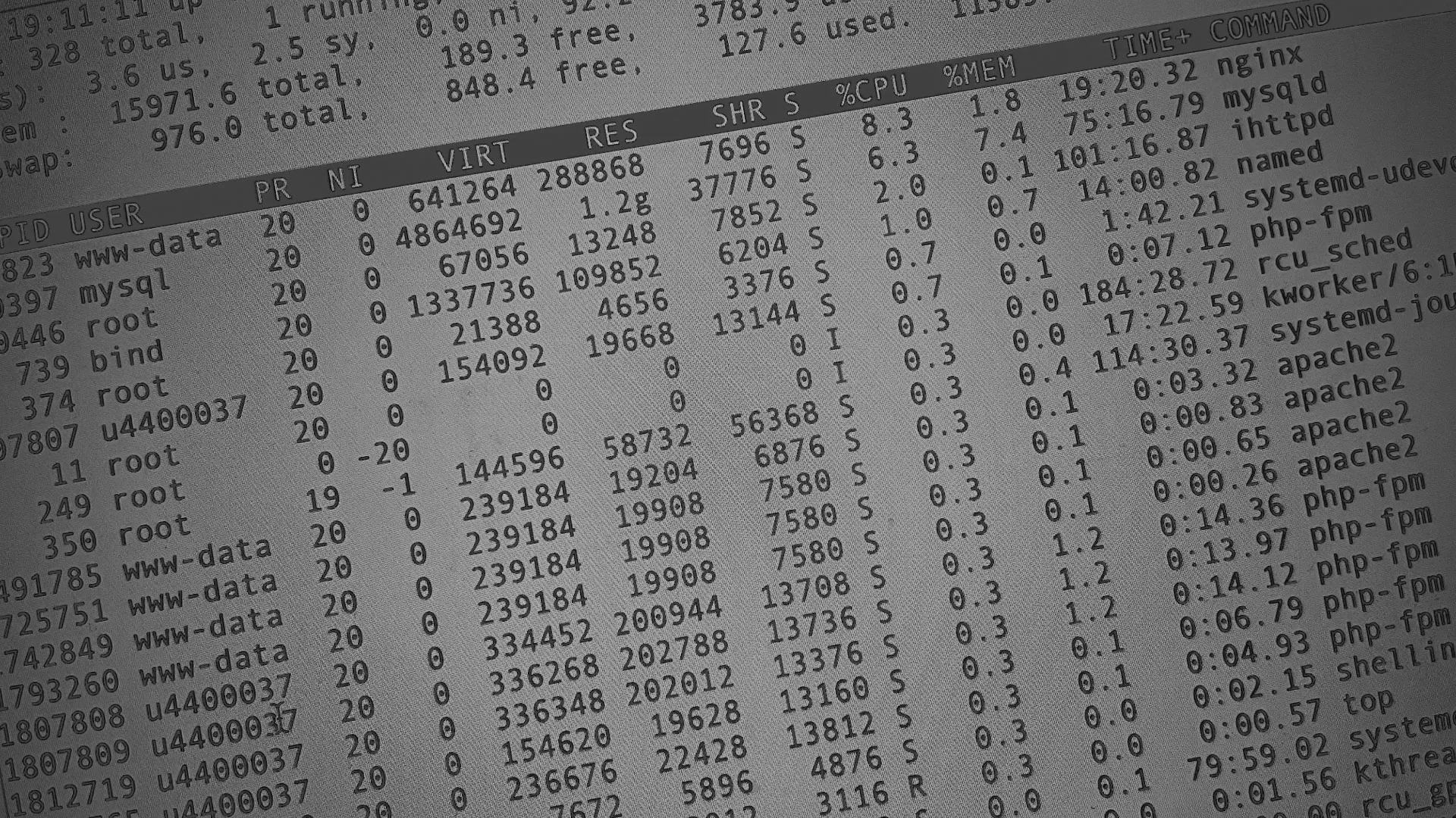 Настройка сервера в Арсеньеве