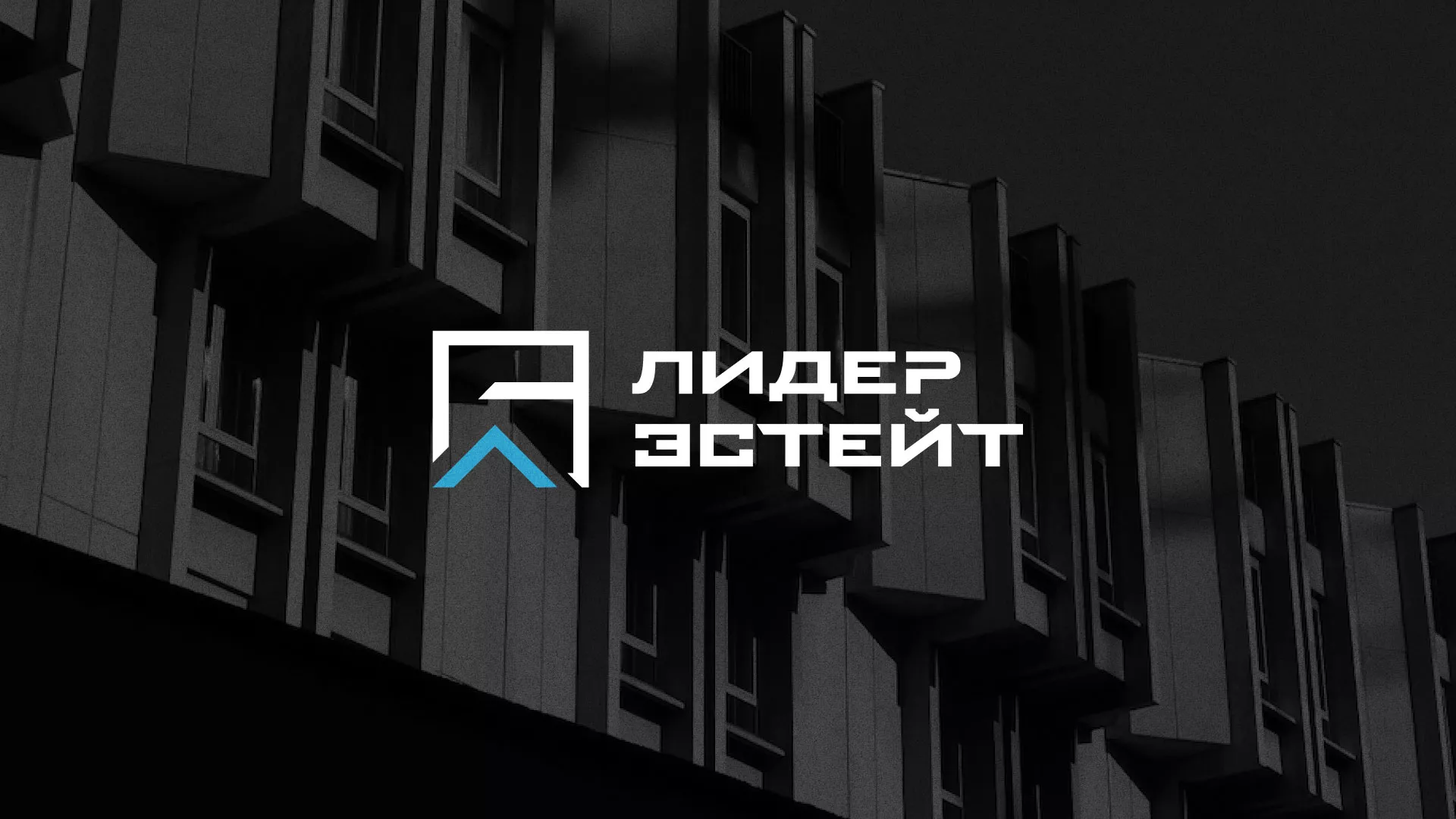 Разработка логотипа агентства недвижимости «Лидер Эстейт» в Арсеньеве