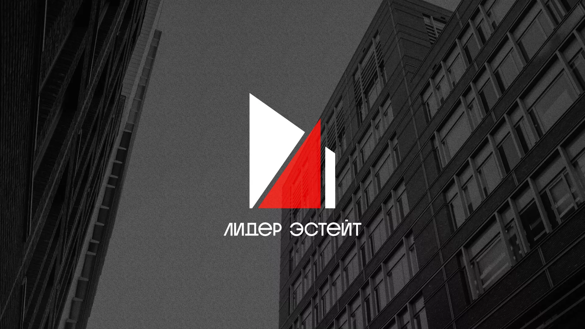 Сделали логотип для агентства недвижимости «Лидер Эстейт» в Арсеньеве